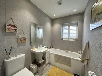 Picture 23